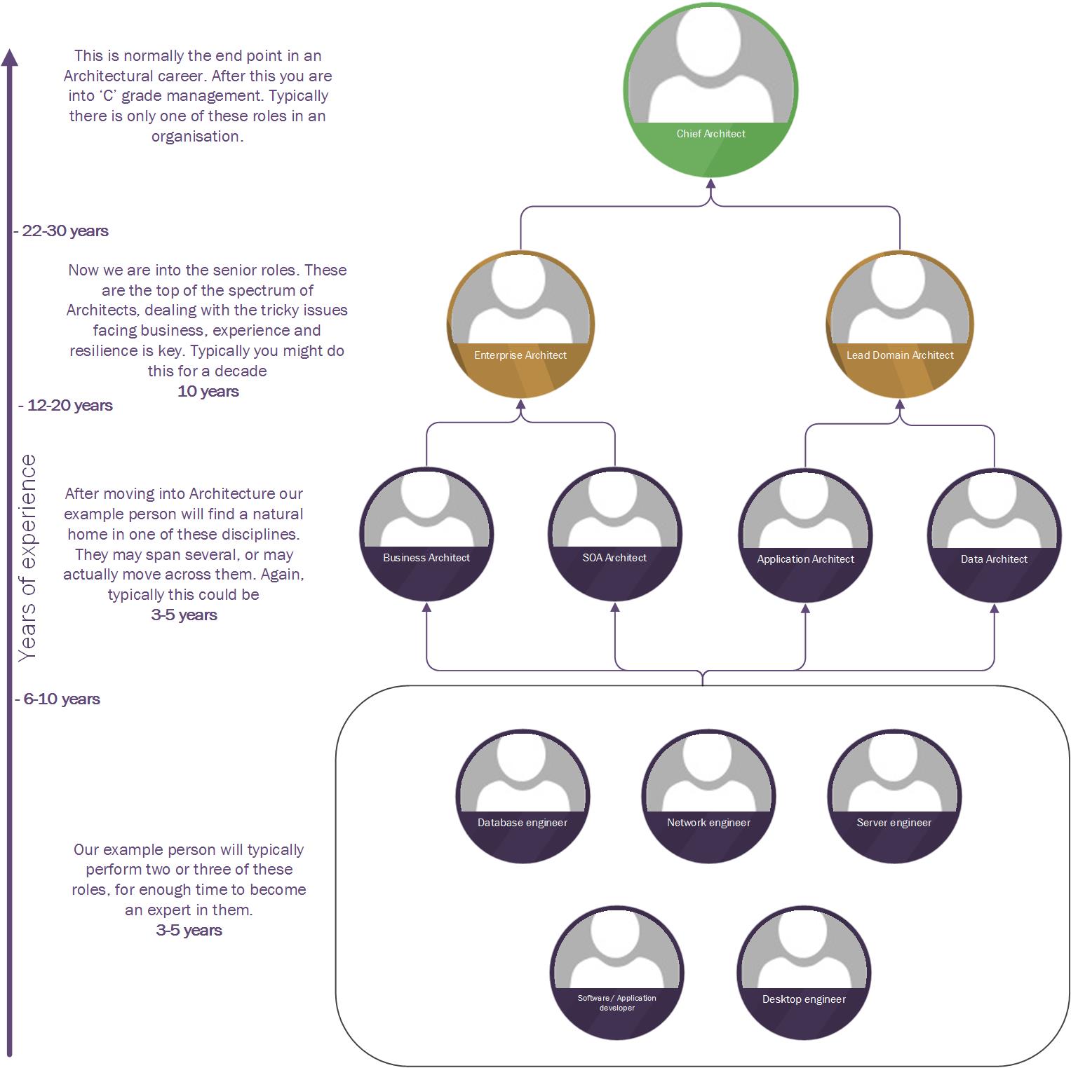 Architecture Career tree